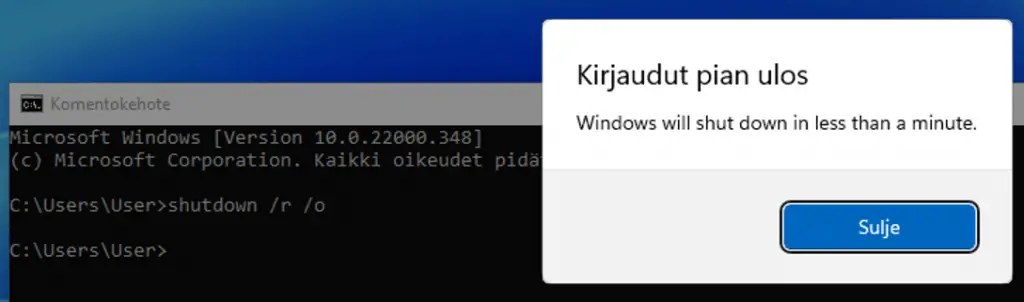 Vikasietotila komentokehotteesta Windows 11